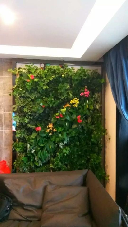 2017060314335214964716322586.jpg 2017060314335214964716322586.jpg