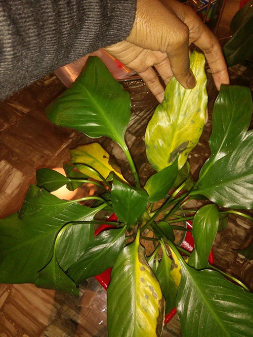 2023010916732354251137051367.jpg 3后.jpg